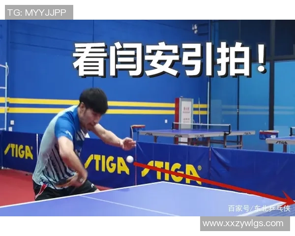 乒乓球战术揭秘：杭州乒乓球队如何巧妙反击对手的策略与技巧