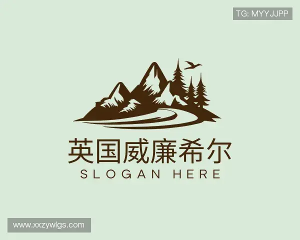 解读william威廉中文官网
